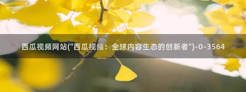 长相思第一季免费观看西瓜影院