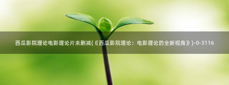 大西瓜午夜电影