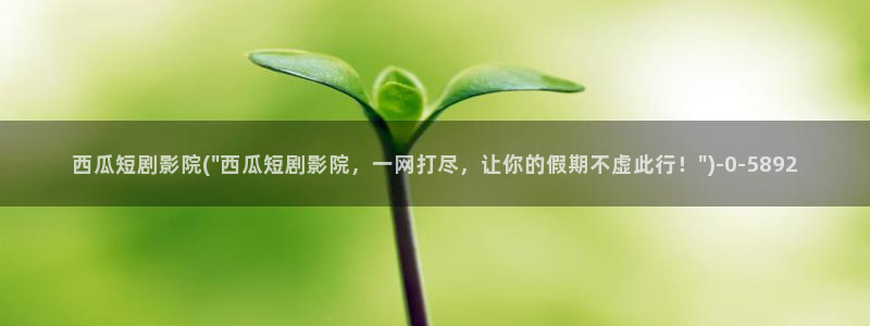 西瓜影院理论电影理论片未删减