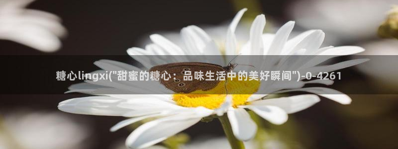 糖心vlog在线观看高清