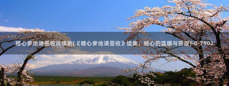 糖心vlog作品