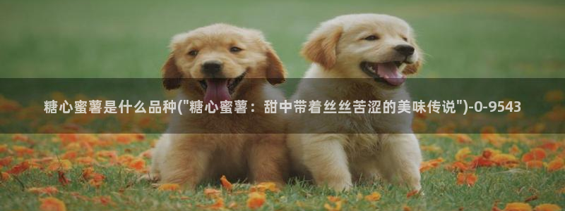 糖心vlog精产国品