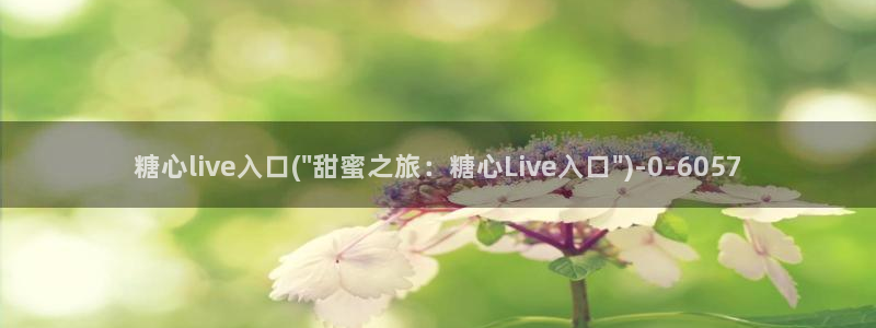 糖心vlog免费版.
