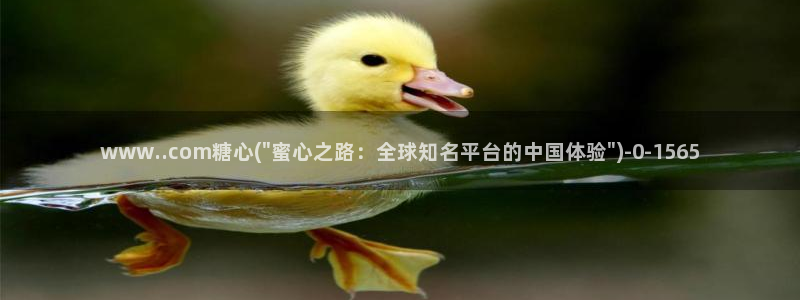 糖心成年版vlog