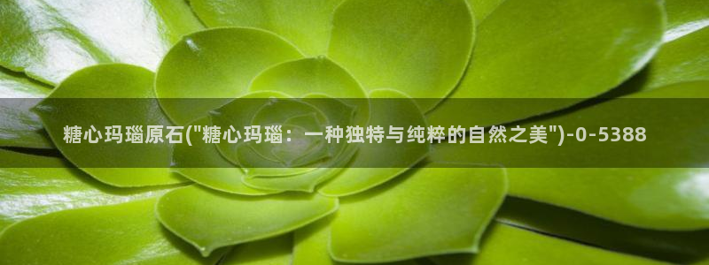 糖心vlog小包子