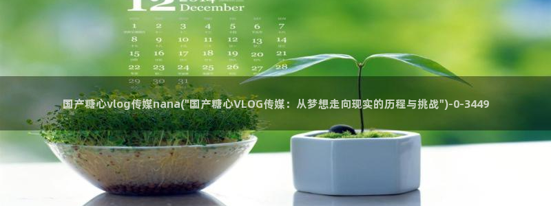 糖心vlog最新网址