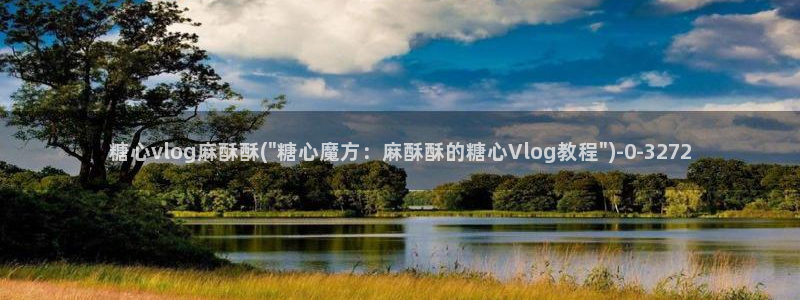 糖心vlog,